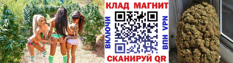 Магазин наркотиков Щучье COCAIN  Амфетамин  Псилоцибиновые грибы  Марихуана  МЕФ  Гашиш 