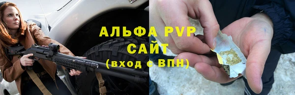 гидра Новозыбков