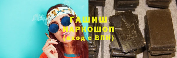 гидра Новозыбков