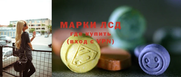 PSILOCYBIN Новодвинск
