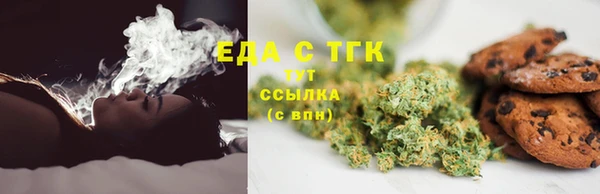 гидра Новозыбков