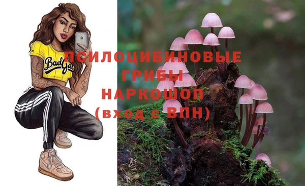 гидра Новозыбков