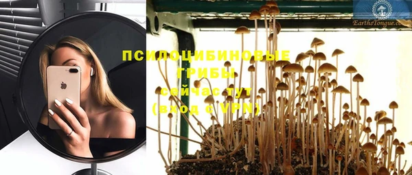 PSILOCYBIN Новодвинск