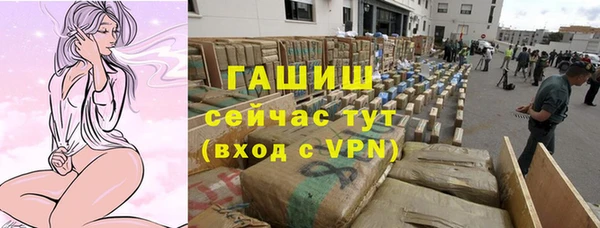 PSILOCYBIN Новодвинск