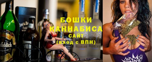 гидра Новозыбков