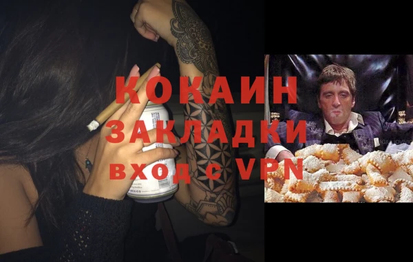 гидра Новозыбков