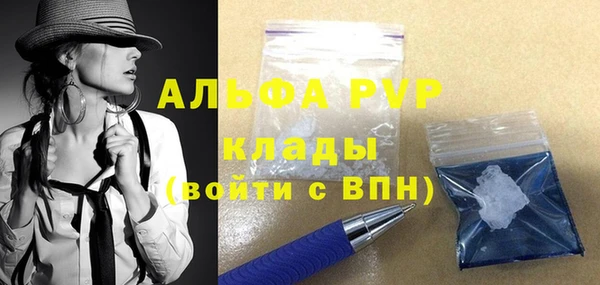 PSILOCYBIN Новодвинск