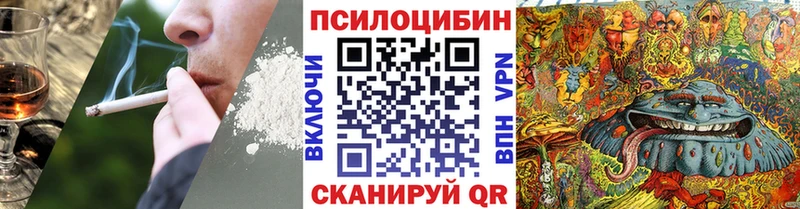 Галлюциногенные грибы Psilocybine cubensis  Щучье 